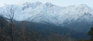 Otra vez...¿hasta cuando?