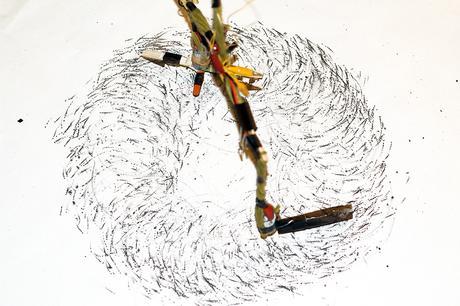 Taller de Máquinas de dibujar y movimiento. Capturando el viento Taller Capturando el Viento: el invento andando solo II