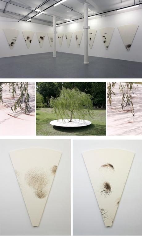 Taller de Máquinas de dibujar y movimiento. Capturando el viento Tim Knowles Dibujos de Árboles Tree Drawings Circular Weeping Willow Drawing