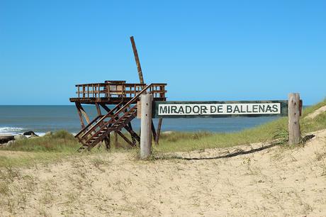 Mirador de Ballenas en Playa Grande