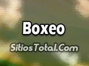 Batuhan Gözgeç Joedson Teixeira Boxeo Peso Wélter Ligero 64kg Masculino Vivo Juegos Olímpicos 2016 Domingo Agosto