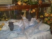 Desde México, Santa María de Cuaco.