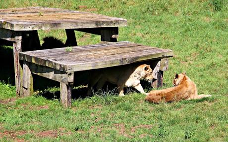 Parque de la Naturaleza de Cabárceno