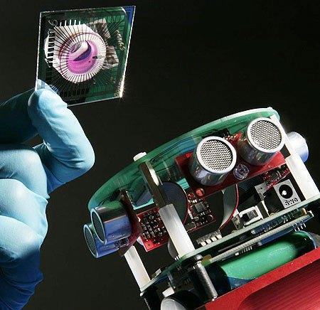 Biobots; entre la ciencia y el terror