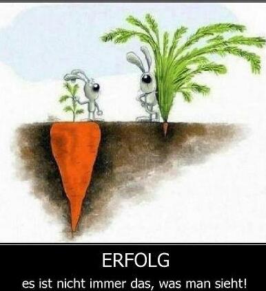 Imagen de success, quote, and carrot