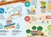 ¿Cuánta comida tiramos basura?