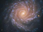 Galaxia espiral 1232