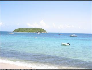 Reading process.........