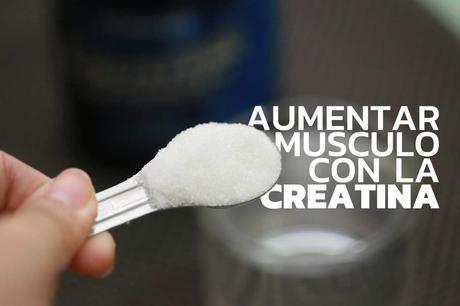 Aumentar masa muscular con Creatina