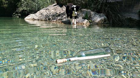 Festival del Vino Somontano