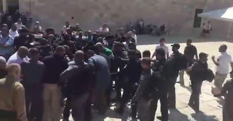 montetemplotishabeav2016