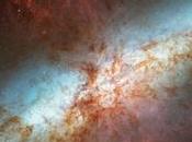 Científicos encuentran evidencia quinta fuerza naturaleza