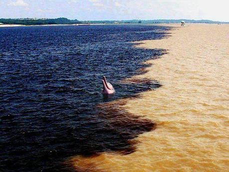 El lugar donde el río Amazonas se encuentra con el río negro, en Brasil. Dos de los ríos más grandes del mundo, el Amazonas y el Río Negro, se juntan pero no se mezclan y, aunque son visualmente distintos, ocupan el mismo cuerpo de agua. Esto es debido a las diferentes velocidades y temperaturas de los ríos.