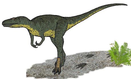 El Nanotyrannus, el dinosaurio que pudo no existir