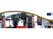 Bodegas Manvi, vinos mancha