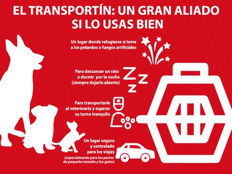El transportín: un gran aliado