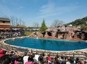 Parque Naturaleza Cabárceno bate récord visitantes