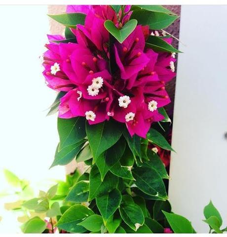 sDIOSAS 108 #lOOKS oF tHE dAY sDIOSAS 108 #lOOKS oF tHE dAY