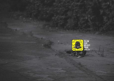 Snapchat para encontrar hogar a perros abandonados