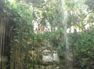 cenote2