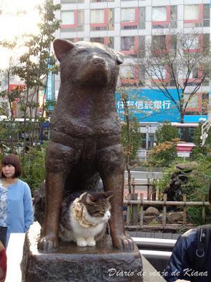 Viaje a Japón. Día 4. Tokyo: Palacio imperial, Meiji Jingu, parque Yoyogi, Takeshita Dori, Omotesando, Shibuya, Odaiba