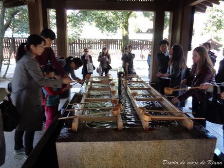 Viaje a Japón. Día 4. Tokyo: Palacio imperial, Meiji Jingu, parque Yoyogi, Takeshita Dori, Omotesando, Shibuya, Odaiba