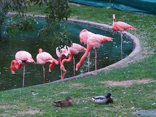 NO CULPES AL KARMA DE LO QUE TE PASA POR GILIPOLLAS