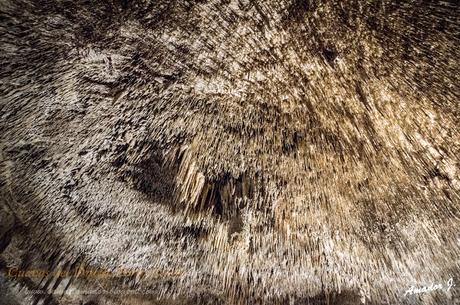 CUEVAS DEL DRACH. PORTO CRISTO (MALLORCA)