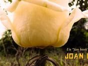 [Recomendaciones] Memorias tributo Joan