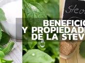 diremos maravillosos beneficios propiedades l...