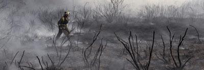 Semana negra en Galicia, acosada por el fuego.