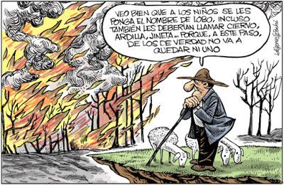 Semana negra en Galicia, acosada por el fuego.