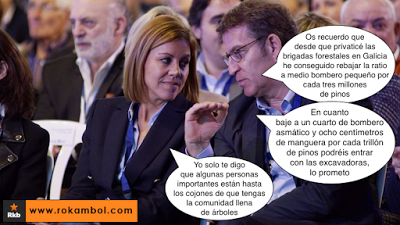 Semana negra en Galicia, acosada por el fuego.