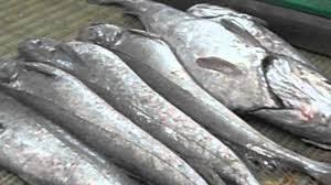 El significado de soñar con merluzas. sueño con una merluza