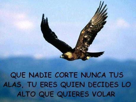 Sobre viviendo si yo puedo tu puedes