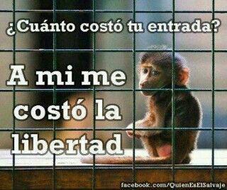 Sobre viviendo si yo puedo tu puedes