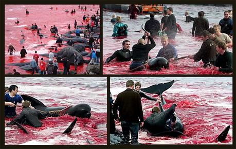 Sobre viviendo si yo puedo tu puedes