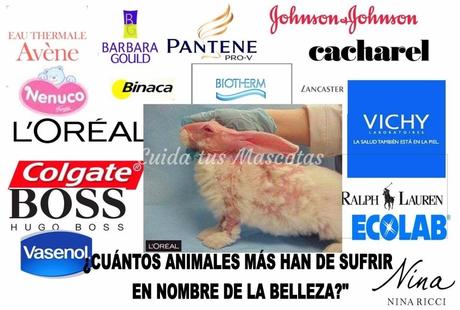 Sobre viviendo si yo puedo tu puedes