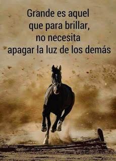 Sobre viviendo si yo puedo tu puedes