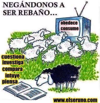 Sobre viviendo si yo puedo tu puedes