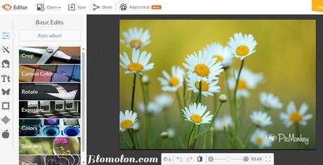 imagen-de-picmonkey imagen-de-picmonkey