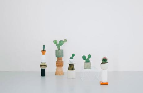 ¿te gusta decorar con cactus y suculentas? No te pierdas esta concept store