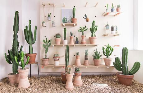 ¿te gusta decorar con cactus y suculentas? No te pierdas esta concept store