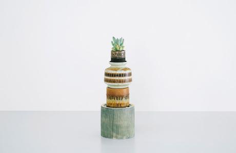 ¿te gusta decorar con cactus y suculentas? No te pierdas esta concept store