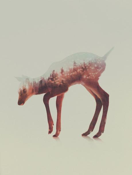 Noruega sobre animales