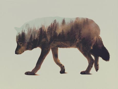 Noruega sobre animales