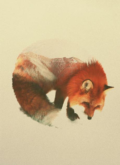 Noruega sobre animales