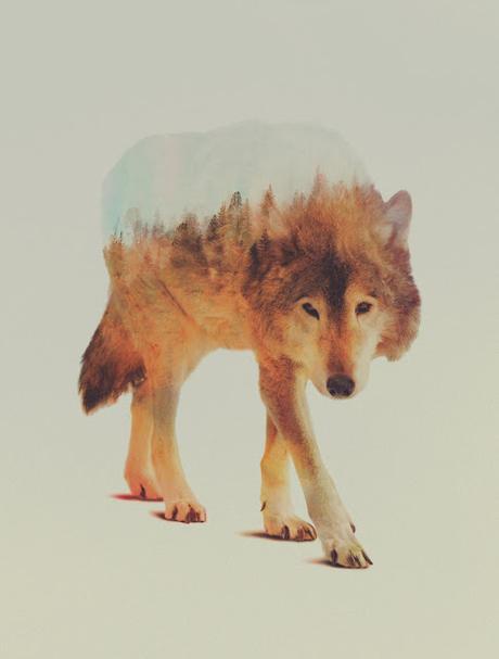 Noruega sobre animales