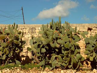 MALTA, UNA DE LAS ISLAS MAS POBLADAS