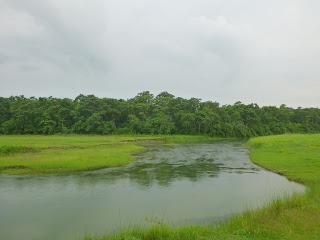 SAFARI POR EL CHITWAN NATIONAL PARK, EL LIBRO DE LA SELVA
